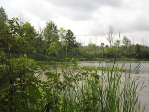 tinkers creek state park