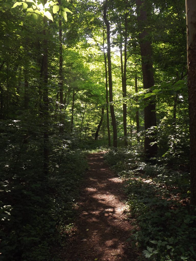 tar hollow hiking trails