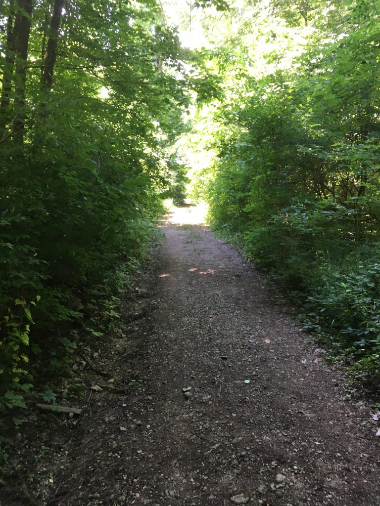 cowan lake state park