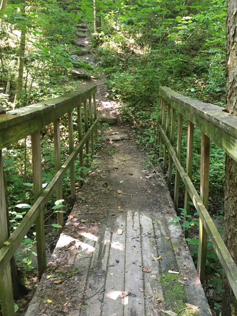 rocky fork state park