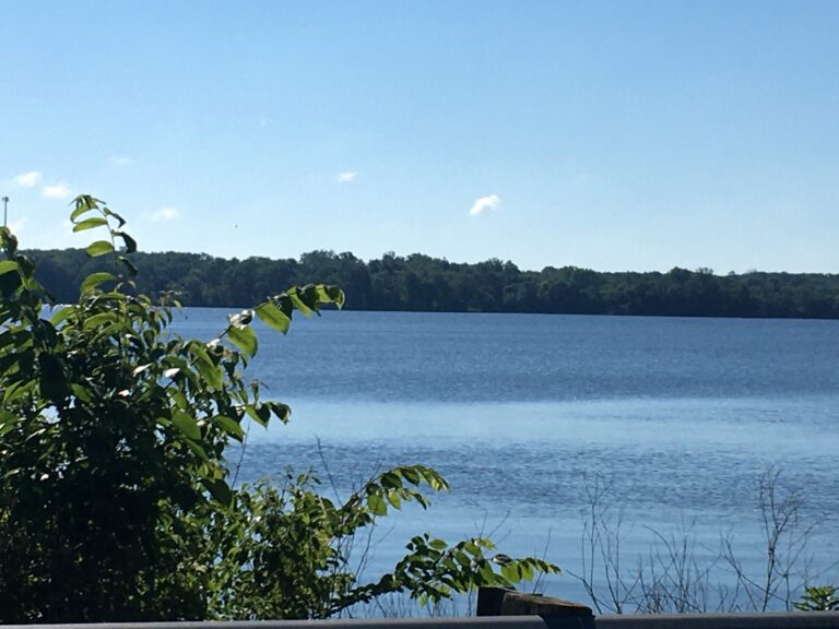 Alum Creek State Park • OH Parks